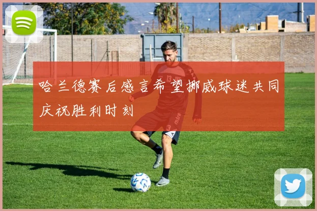 哈兰德赛后感言希望挪威球迷共同庆祝胜利时刻