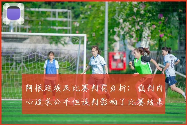 阿根廷埃及比赛判罚分析：裁判内心追求公平但误判影响了比赛结果